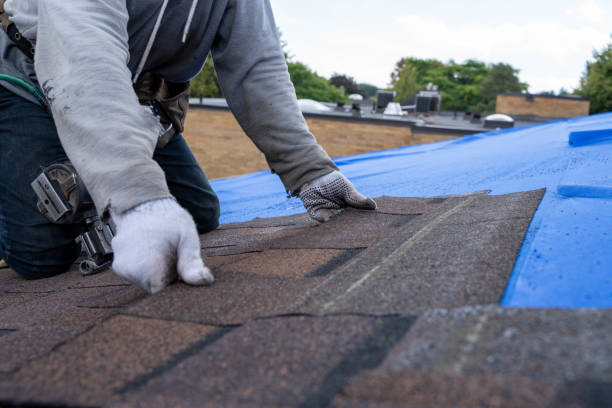 Best Roof Insulation Installation  in East Greenville, PA